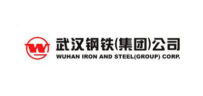 武漢鋼鐵集團有限責(zé)任公司
