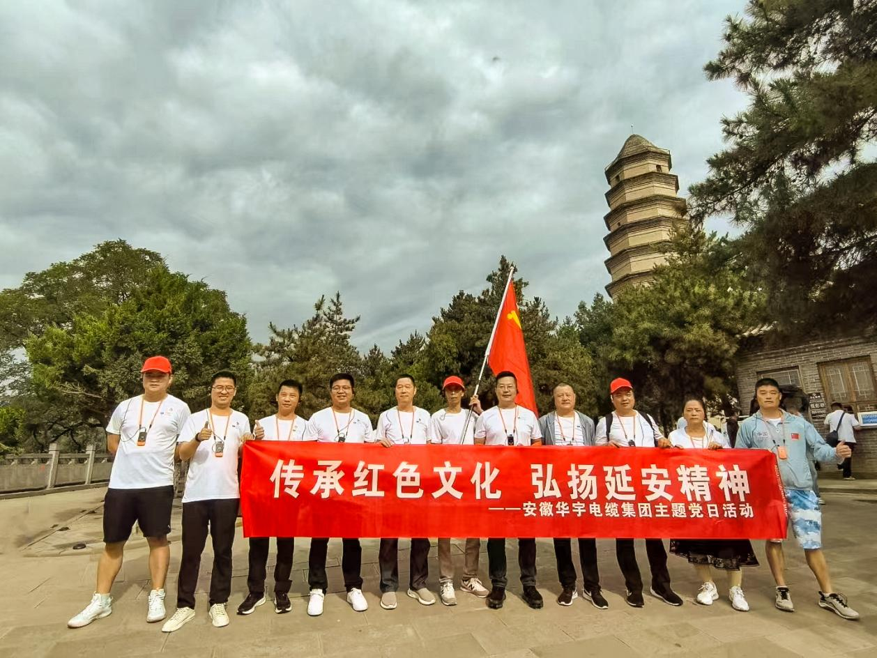               踐行延安精神 筑牢信仰之基 —安徽華宇集團(tuán)黨支部、無(wú)為市工信局黨總支聯(lián)合...
